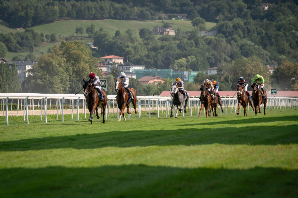 Carrera en el hipódromo patrocinada con el Premio ASENEL